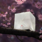 Load image into Gallery viewer, Mini solar lantern with bright white light illuminates tree.