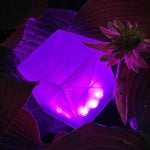 Load image into Gallery viewer, HELIX Multicolor Collapsible Solar Cube Light