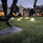Load image into Gallery viewer, Solar cubes of happy light will make your garden sing with brightness. Use these solar lights for your garden path or hang in the trees for any time you need a little joy in your life. Discover fund ways to decorate your home or patio with these durable and bright cubs of joy.
