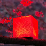Load image into Gallery viewer, Red solar lantern to brighten outdoor environment.