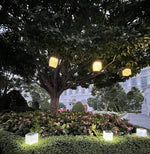 Load image into Gallery viewer, These solar cubes of light are perfect for your garden or deck. Hanging solar lanterns in the trees and flowers make for an amazing scene for your family to enjoy. Solar  Lights will save you money on your electric bill.
