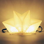 Load image into Gallery viewer, QWNN origami solar lantern and phone charging power bank.
