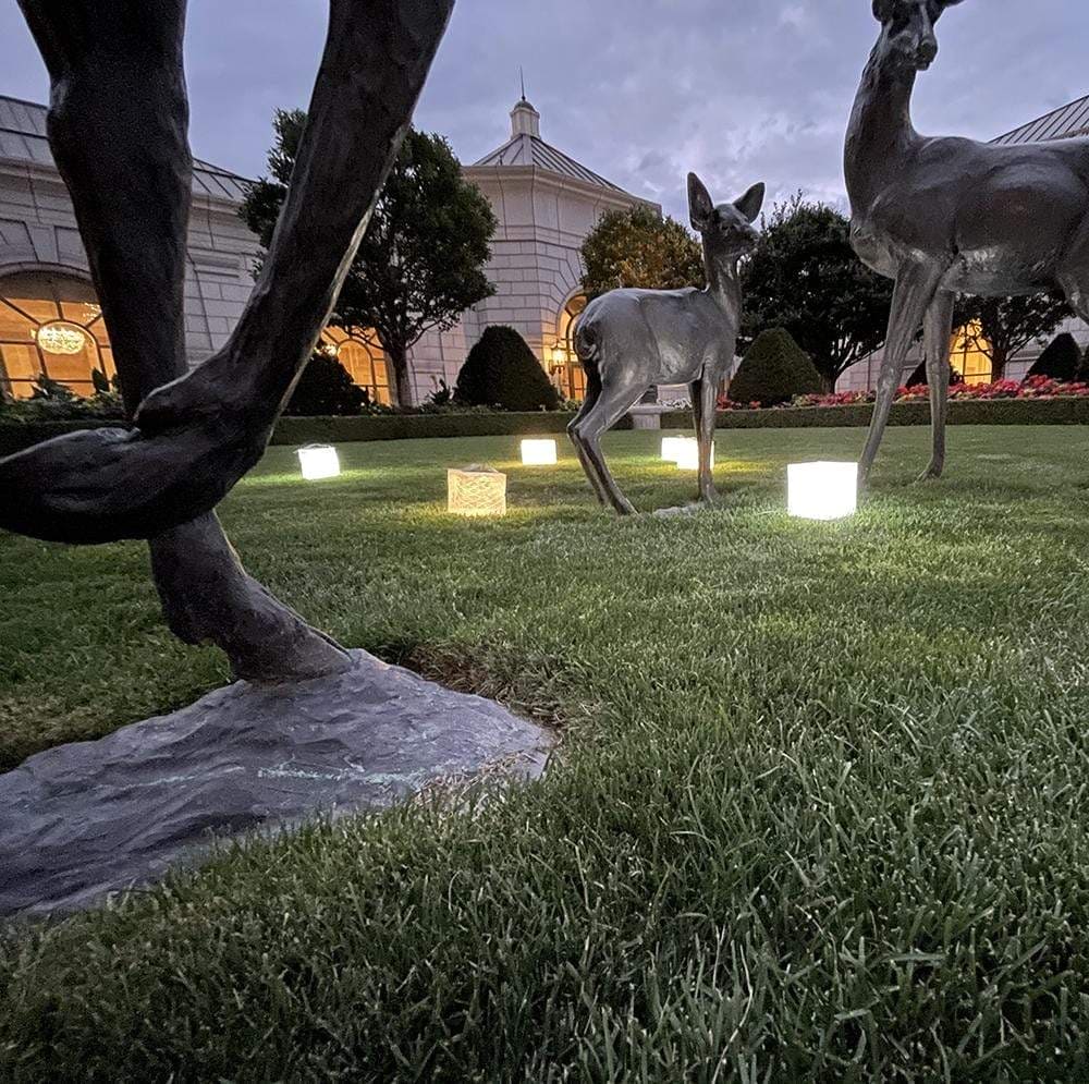 Solar garden Lights will brighten your yard or porch with beautiful ambiance. Here we see the green grass lit up with solar lantern solarpuff and helix.