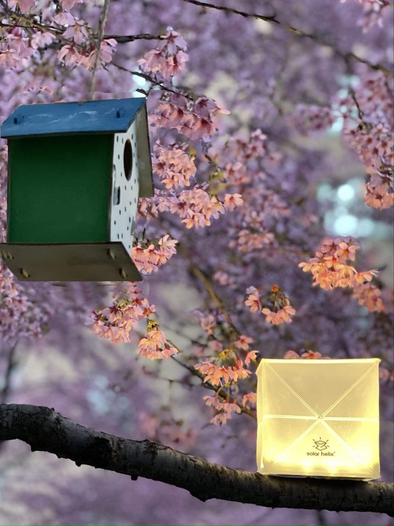 This spring  solar lighting can make your garden happy with fun cubes of solar lanterns.HELIX SOLAR LANTERNS - Multipacks solight2.myshopify.com