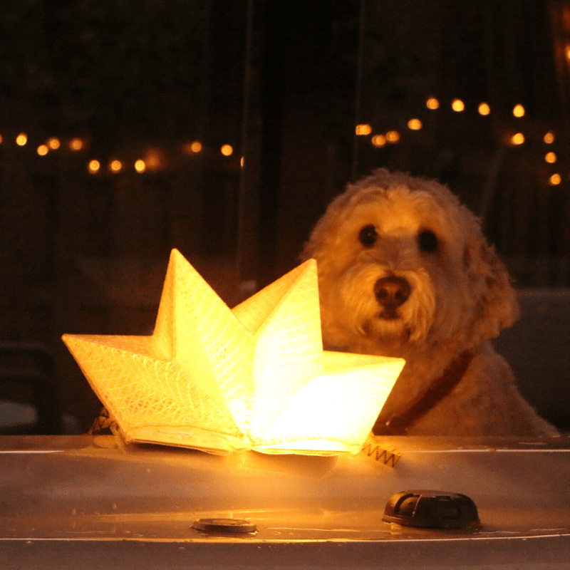 QWNN crown-shaped lantern in outdoor scene with dog in background