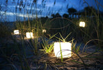 Load image into Gallery viewer, Solar Lanterns are perfect for your. garden or just for your home. Your carbon foot print will be smaller by using our zero carbon lighting. These provide beautiful ambiance for reading or doing tasks aat night. They. are a MUST HAVE for emergencies and power outages.
