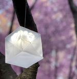 Load image into Gallery viewer, Solight Solar Lantern Bright White COLLAPSIBLE SOLAR LANTERN IN BRIGHT WHITE- SOLAR HELIX Solar-lanterns- Great camping lantern garden lantern
