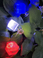 Load image into Gallery viewer, Solar lanterns in red, white, and blue colors for festive outings. These show the gorgeous light on plants in the garden.solar-lantern-camping-outdoor-indoor-lamp-colapsible-
