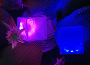 HELIX HYBRID COLLAPSIBLE AND FOLDABLE SOLAR LANTERNS - Multipacks