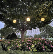 Solar garden Lights will brighten your yard or porch with beautiful ambiance. Here we see the green grass lit up with solar lantern solarpuff and helix.