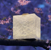 SolarPuff hybrid solar lantern hanging on tree branch in spring outdoor setting